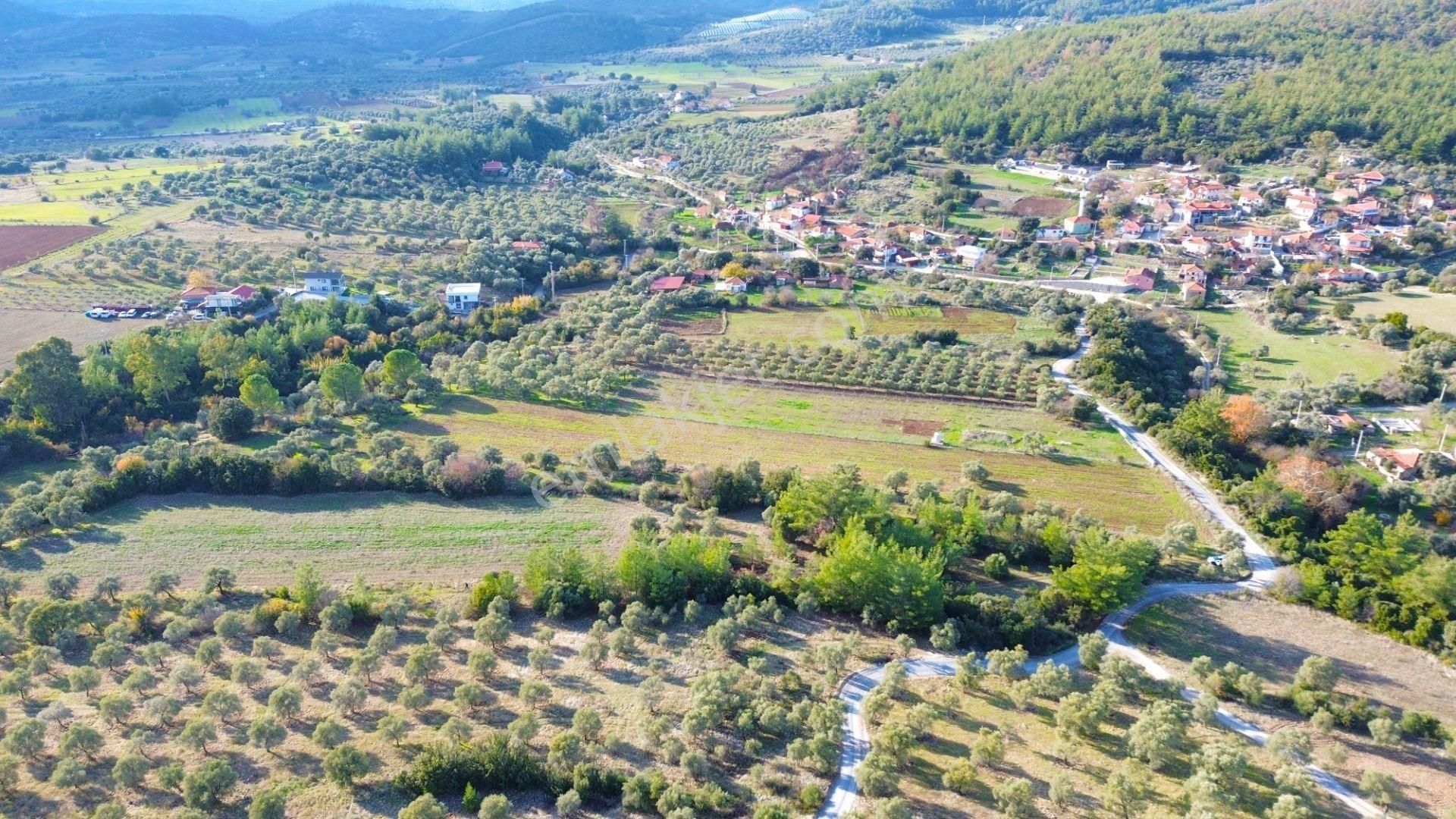 Milas Aslanyaka Mahallesinde 13.076 M² Satılık Çiftlik Arazisi - Görsel 13