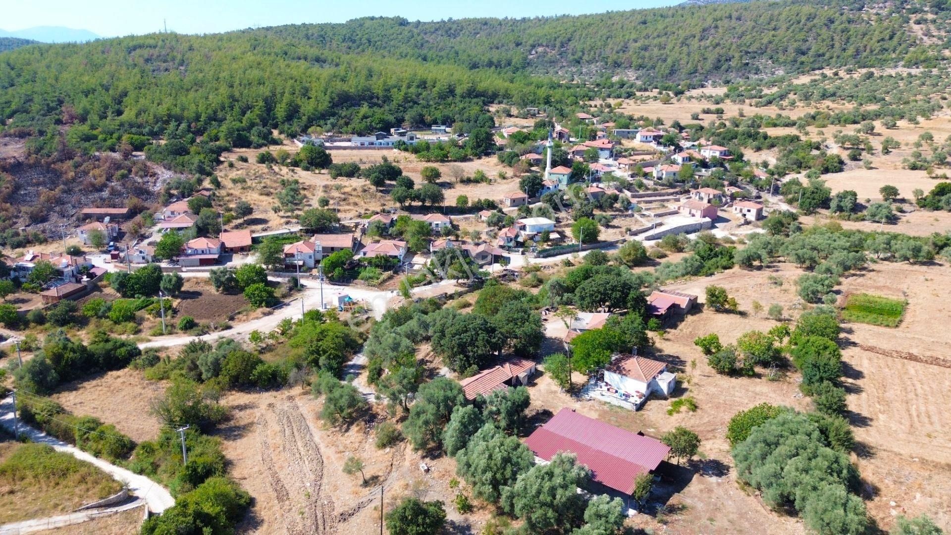 Milas Aslanyaka Mahallesinde 13.076 M² Satılık Çiftlik Arazisi - Görsel 3