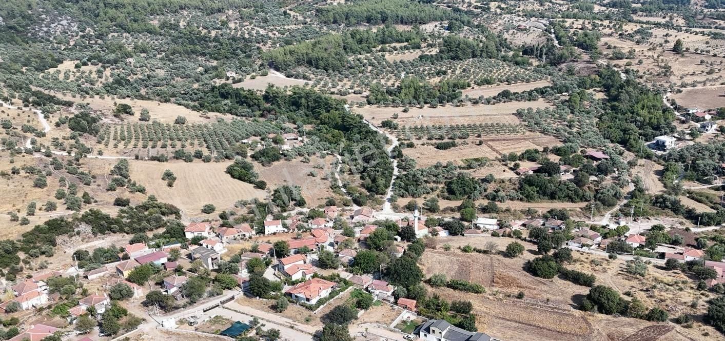 Milas Aslanyaka Mahallesinde 13.076 M² Satılık Çiftlik Arazisi - Görsel 2