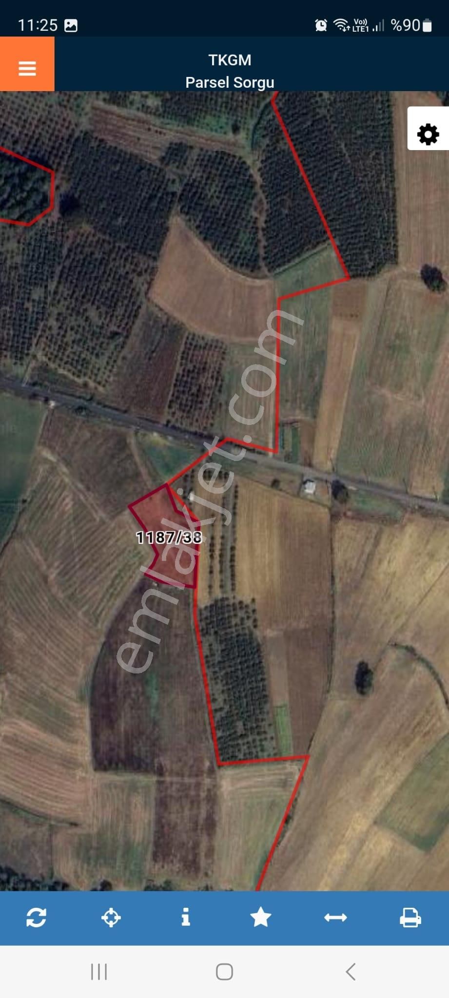 Kaynarca Okçular Köyünde Asfalt Yola 1 Parsel Sarılık Tarla....