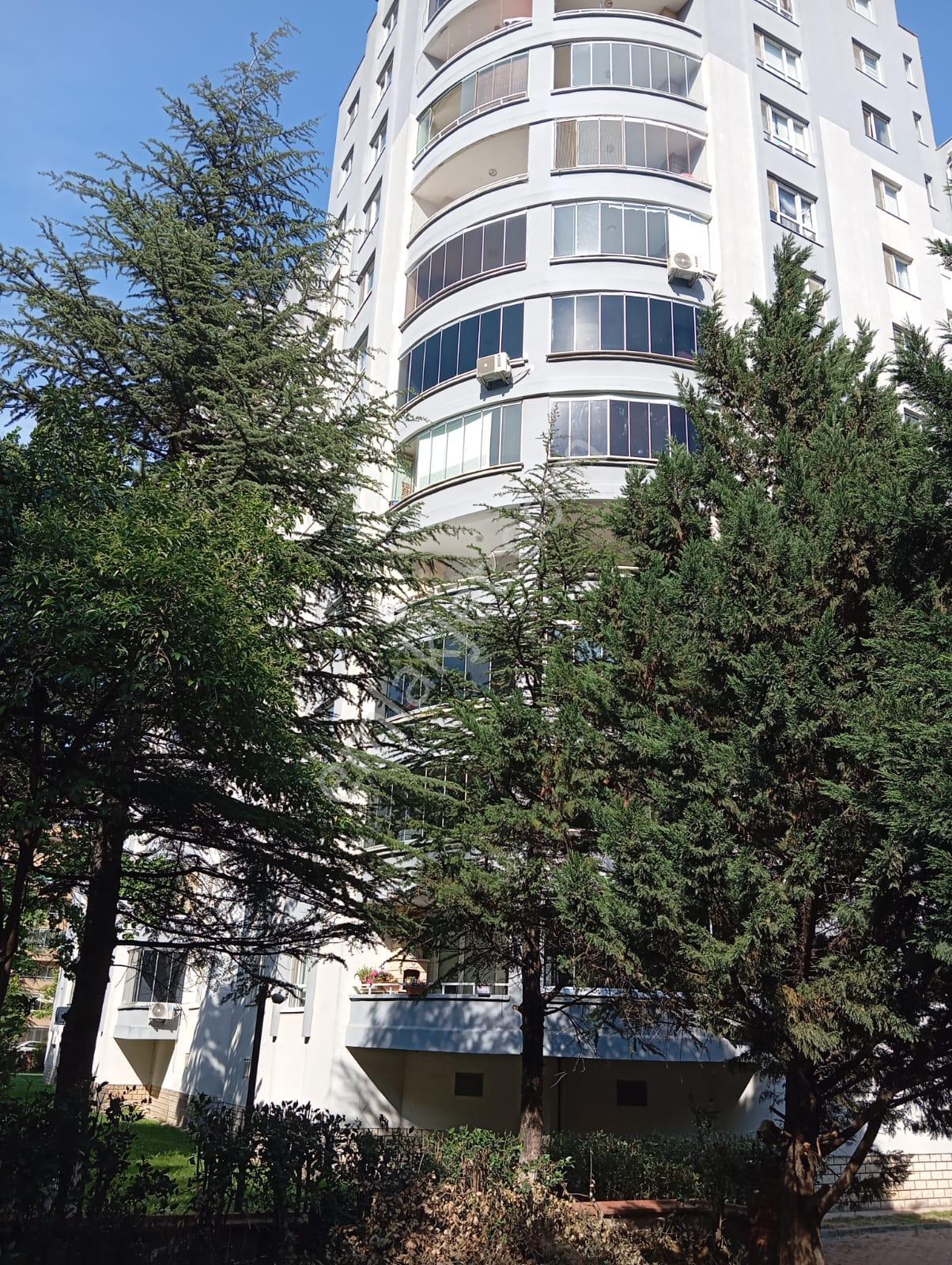 100 Yıl Mah. Garanti Bankası Karşısı 3+1 Bakımlı Eşyalı Satılık Daire - Görsel 15