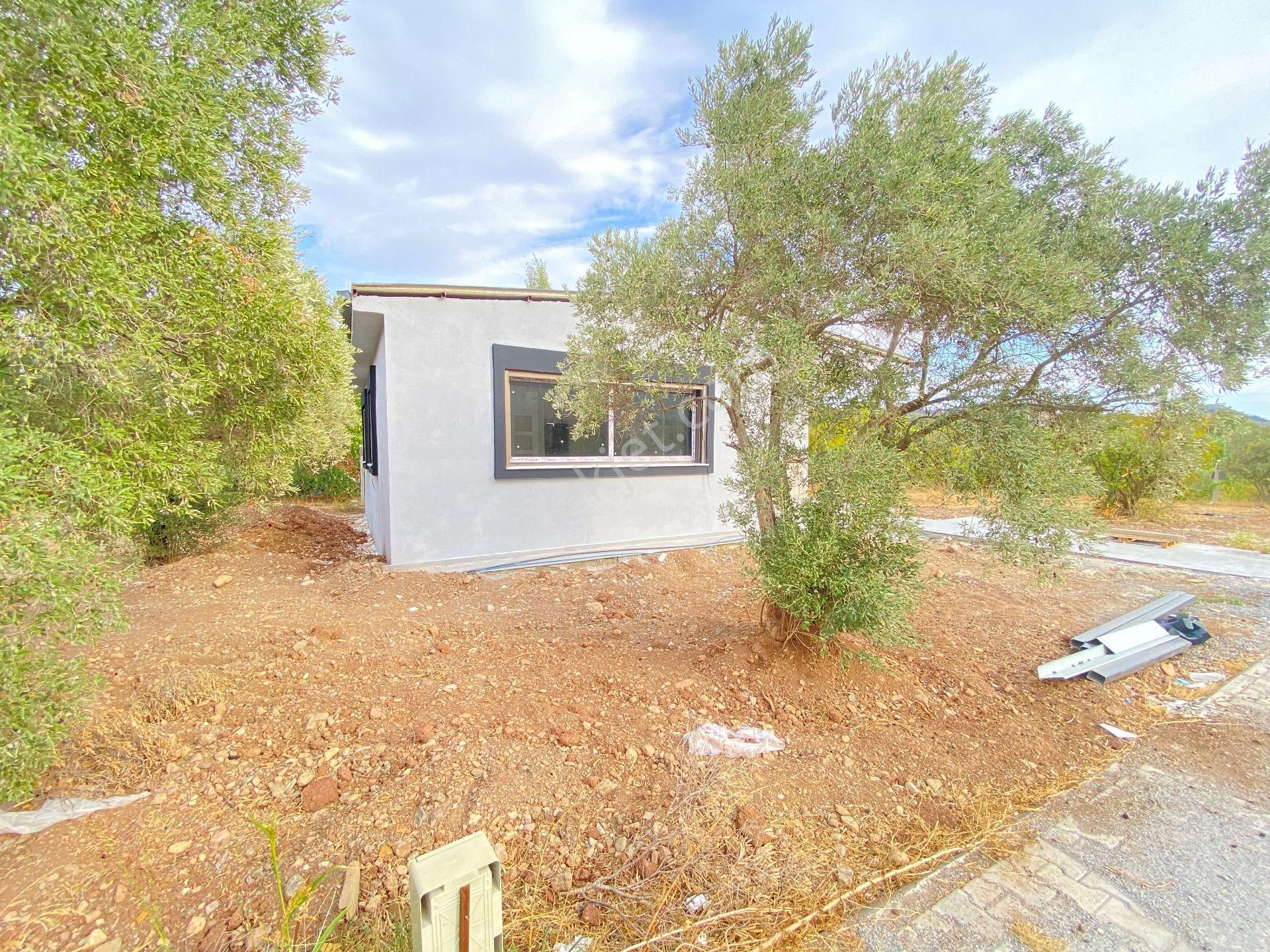 Kavakderede 250 Mt Arsa İçersinde Tek Müstakil Bahçeli Satılık 2+1 Ev - Görsel 23