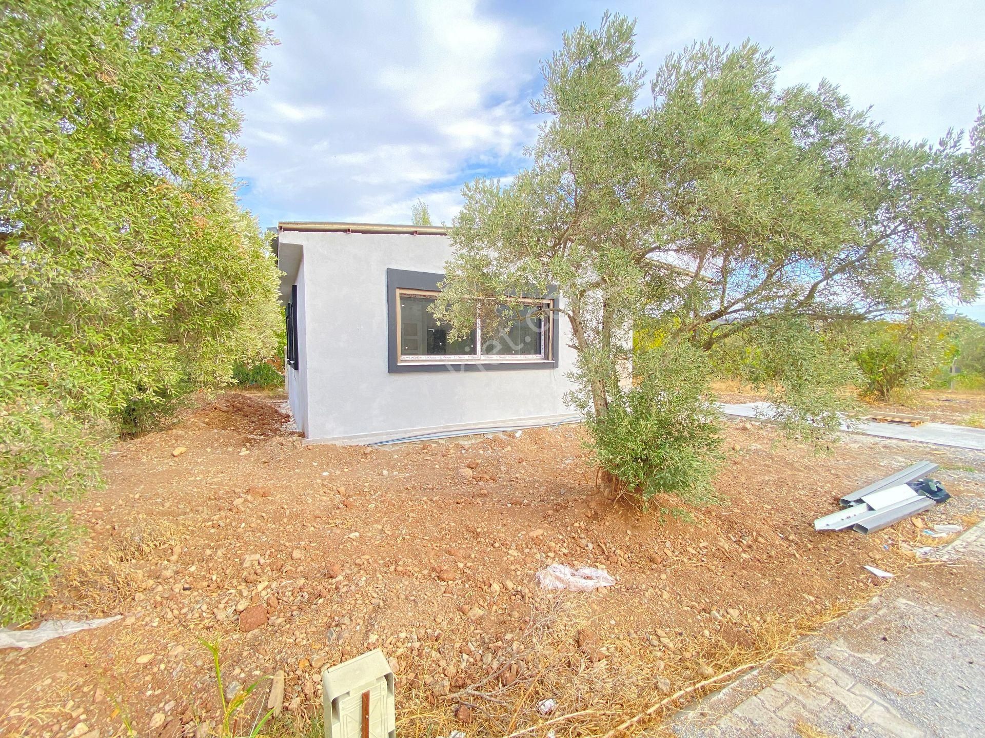 Kavakderede 250 Mt Arsa İçersinde Tek Müstakil Bahçeli Satılık 2+1 Ev - Görsel 24