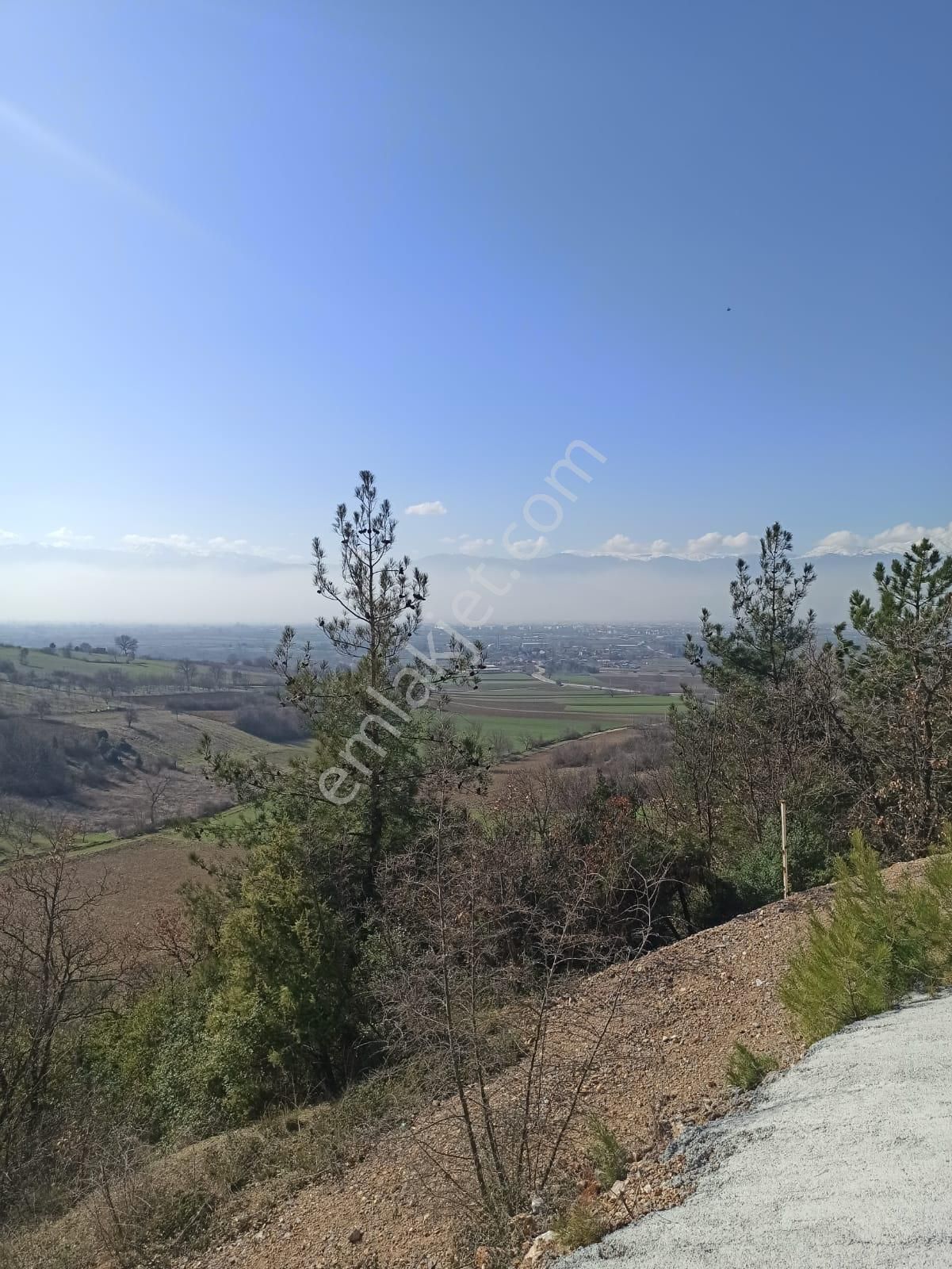 Bursa İnegöl Şipalide 1900 M2 Satılık Bağ - Görsel 2