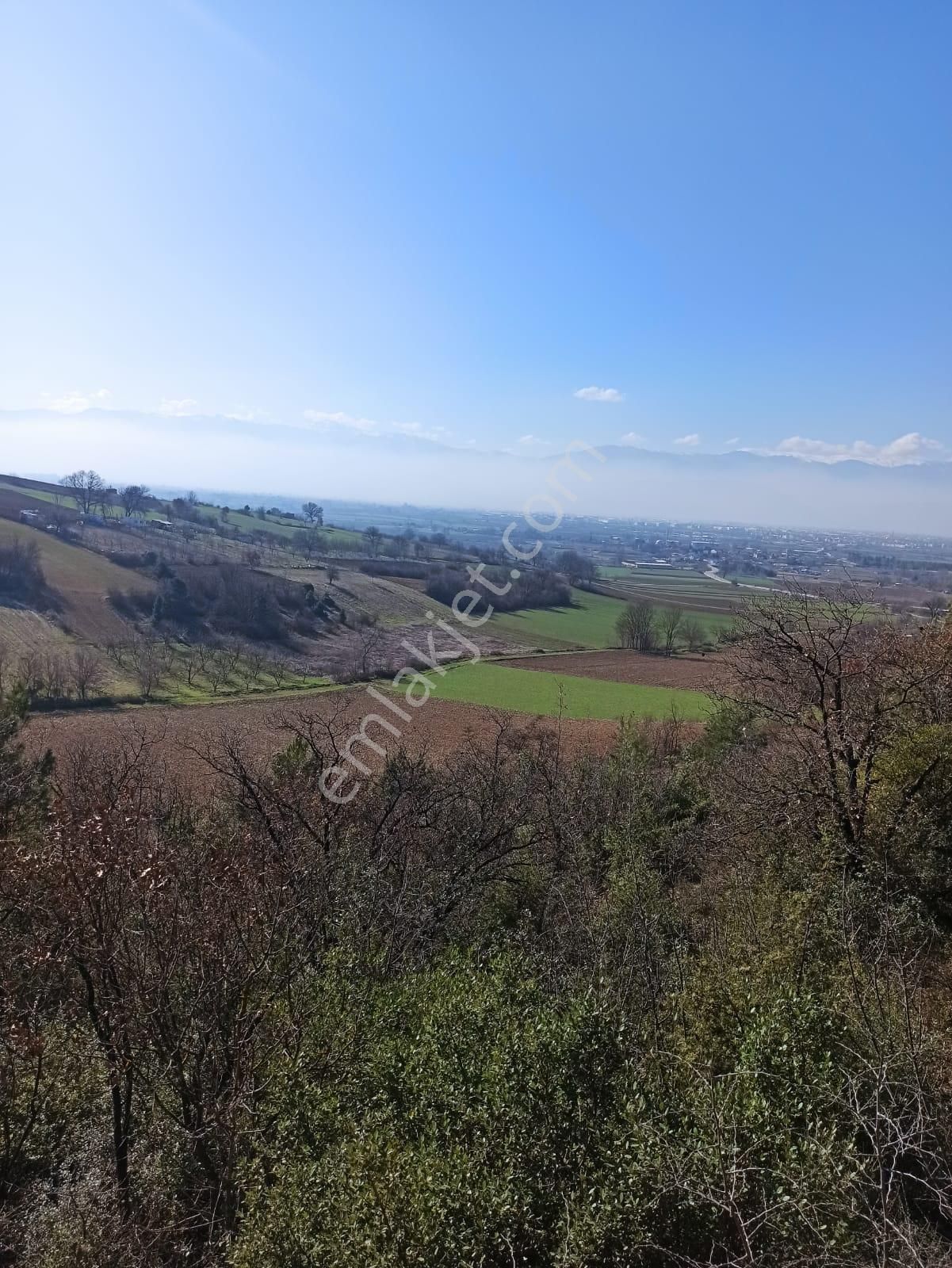 Bursa İnegöl Şipalide 1900 M2 Satılık Bağ - Görsel 9