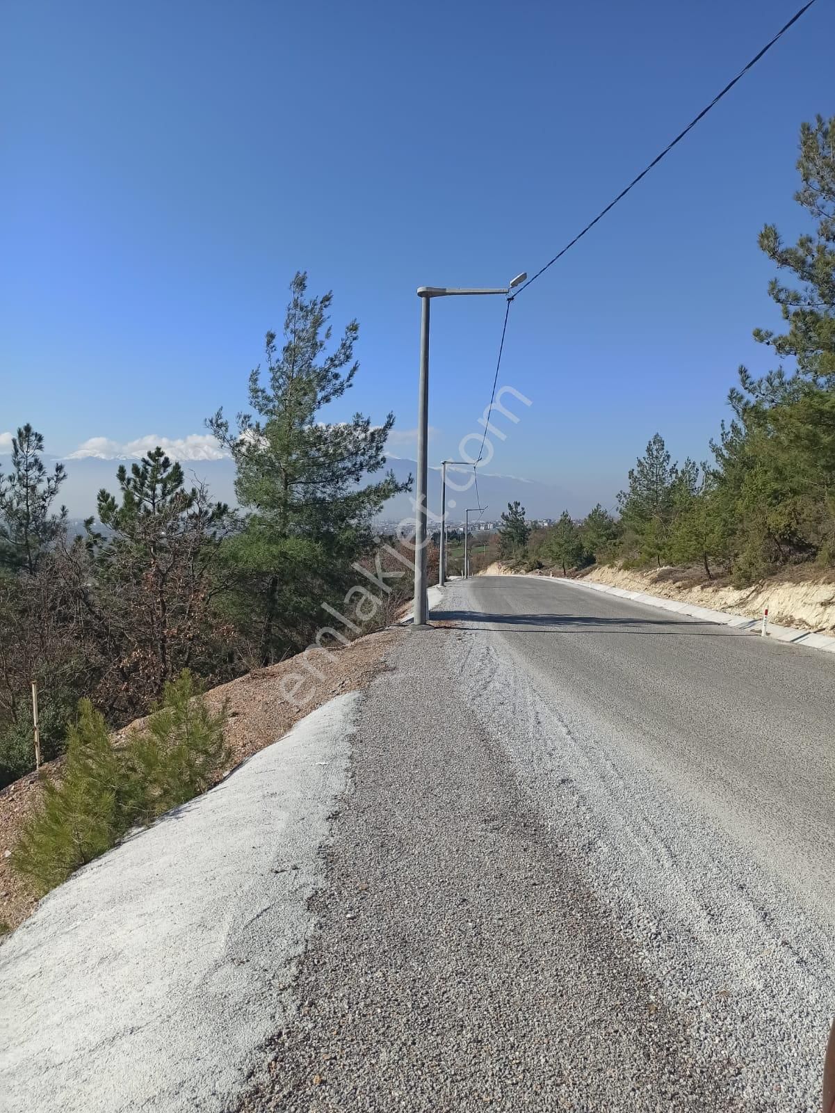 Bursa İnegöl Şipalide 1900 M2 Satılık Bağ - Görsel 3