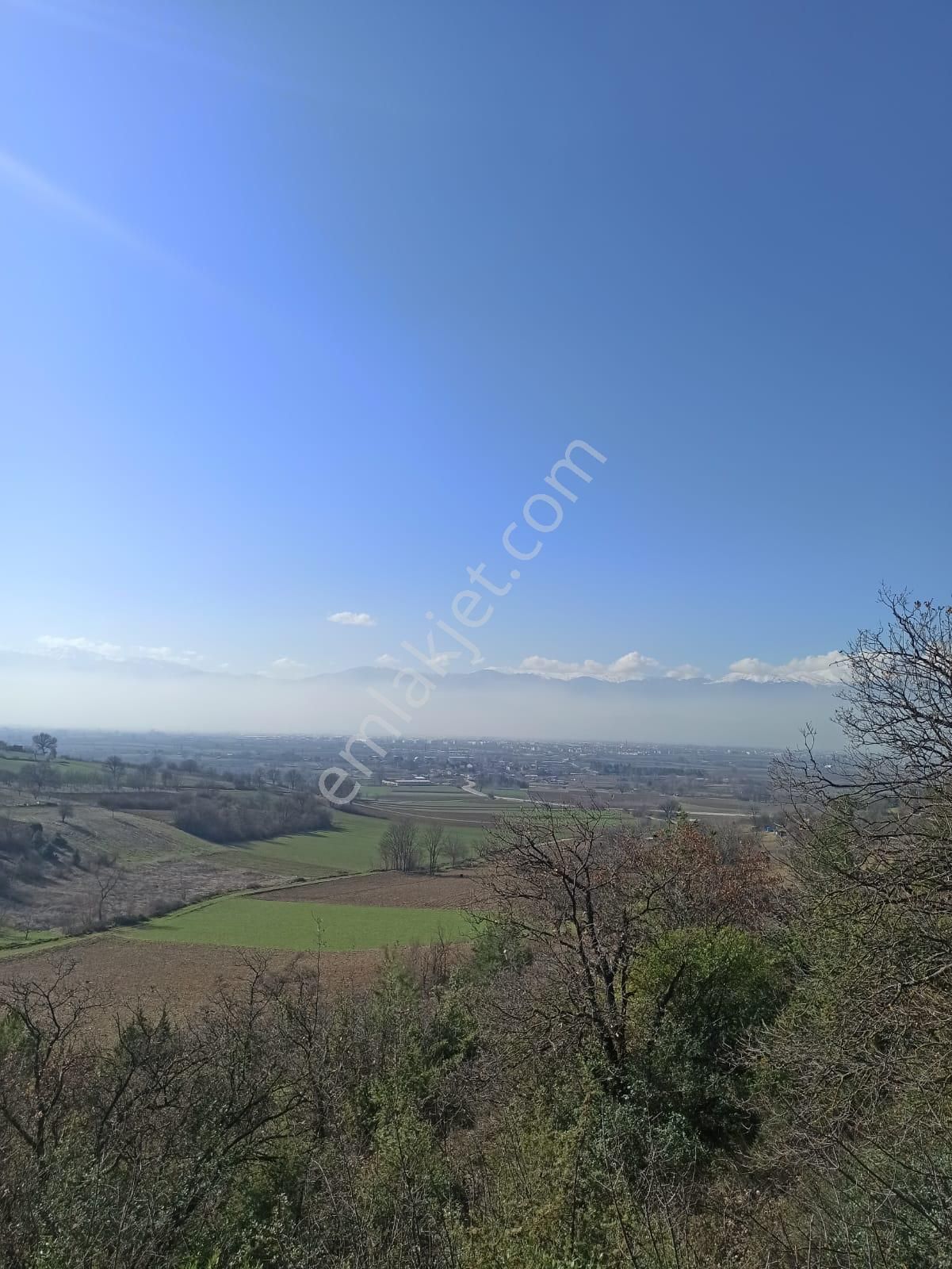 Bursa İnegöl Şipalide 1900 M2 Satılık Bağ - Görsel 8