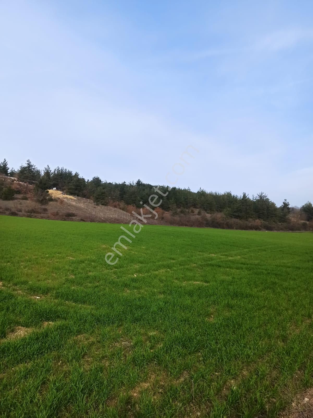 Bursa İnegöl Şipalide 1900 M2 Satılık Bağ - Görsel 10