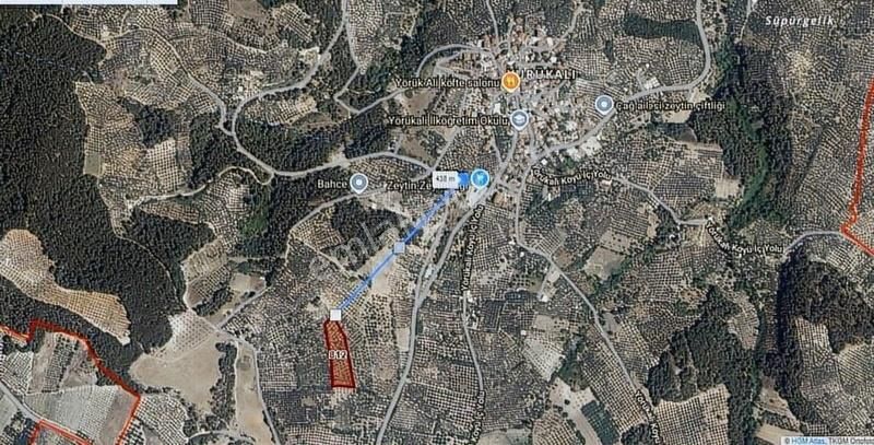Bursa Mudanya Yörükalide 6400 M2 Satılık Zeytinlik - Görsel 3
