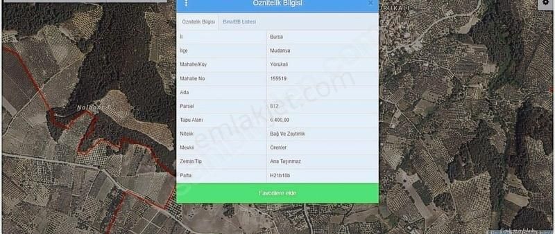 Bursa Mudanya Yörükalide 6400 M2 Satılık Zeytinlik - Görsel 2