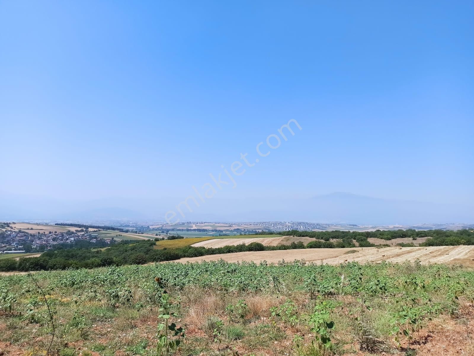 Bursa İnegöl Kozluca Da 5000 M2 Satılık Tarla - Görsel 3