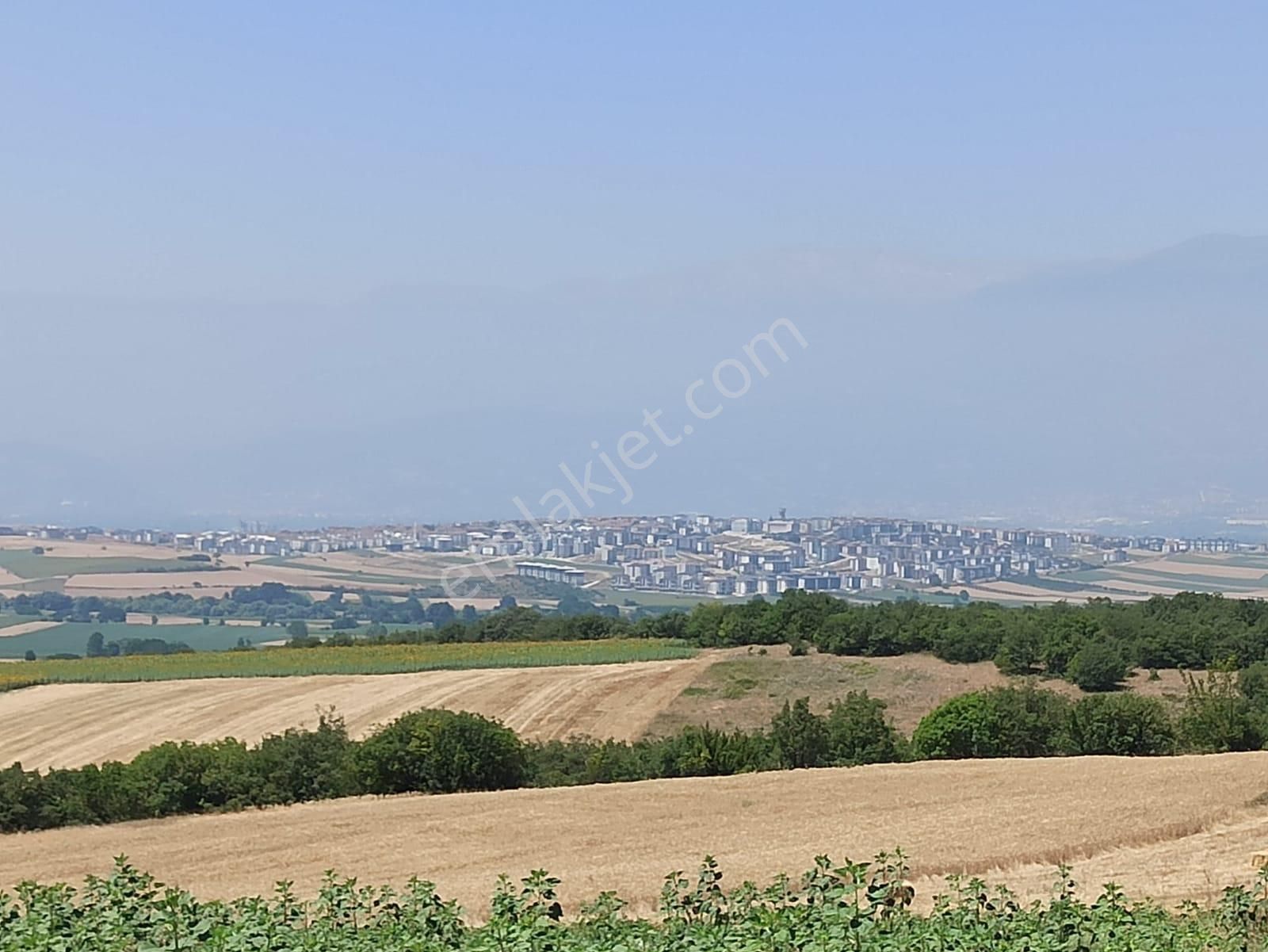 Bursa İnegöl Kozluca Da 5000 M2 Satılık Tarla - Görsel 6