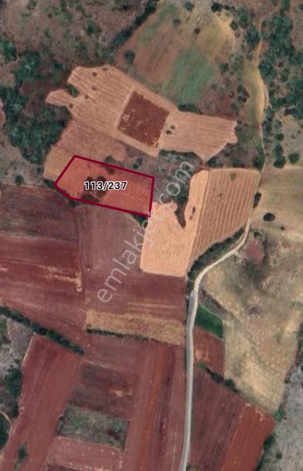 Bursa İnegöl Kozluca Da 5000 M2 Satılık Tarla - Görsel 4