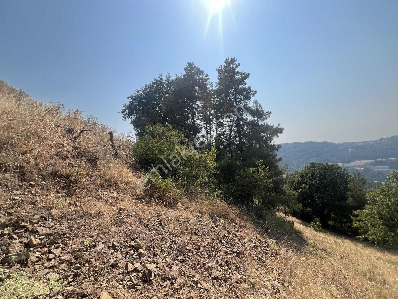 Dağyenice'de Satılık 556 M2 Tektapu Tarla - Görsel 5