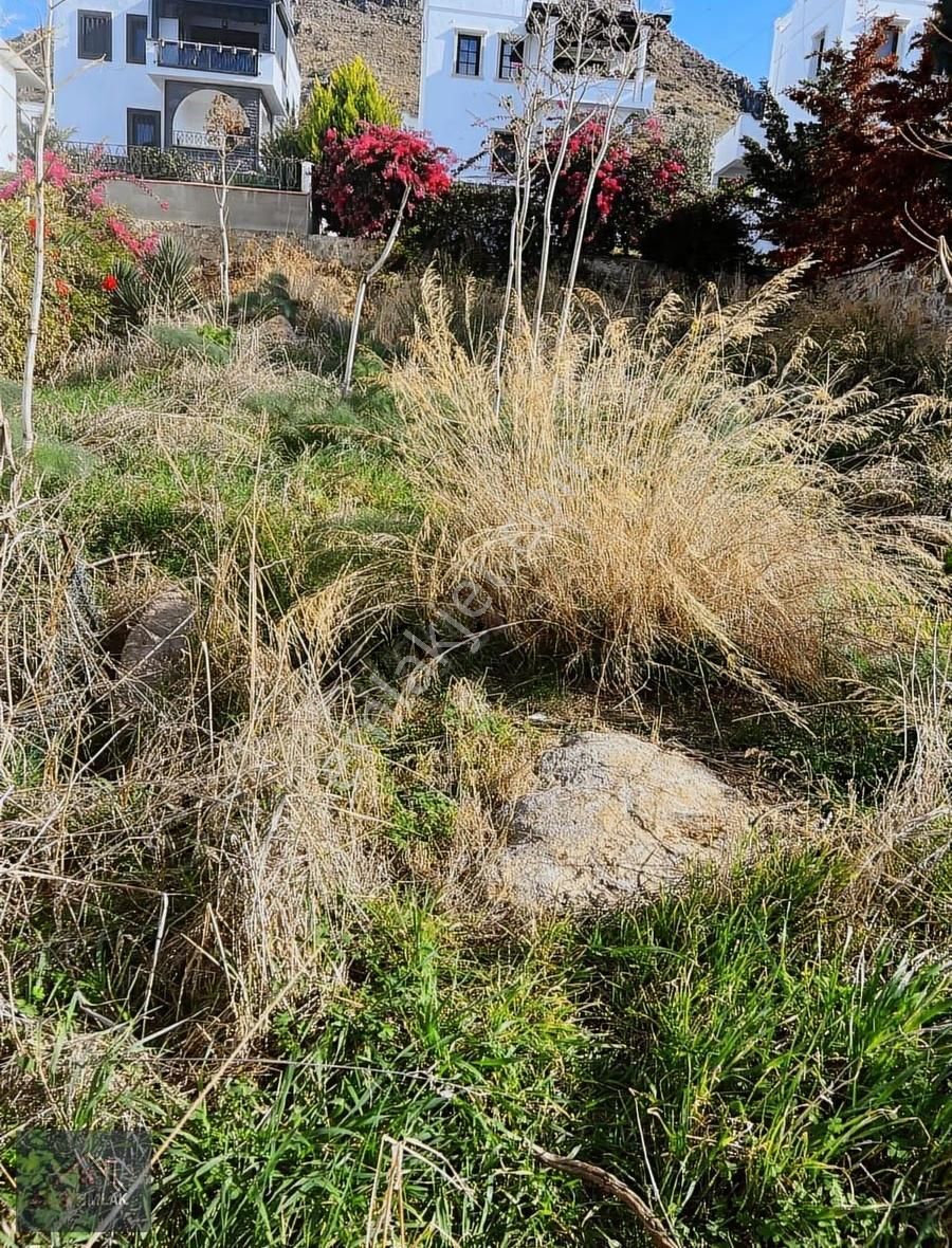 Fırsat Kelepir Denize 100m Satılık %30 İmarlı Arsa!!! - Görsel 6