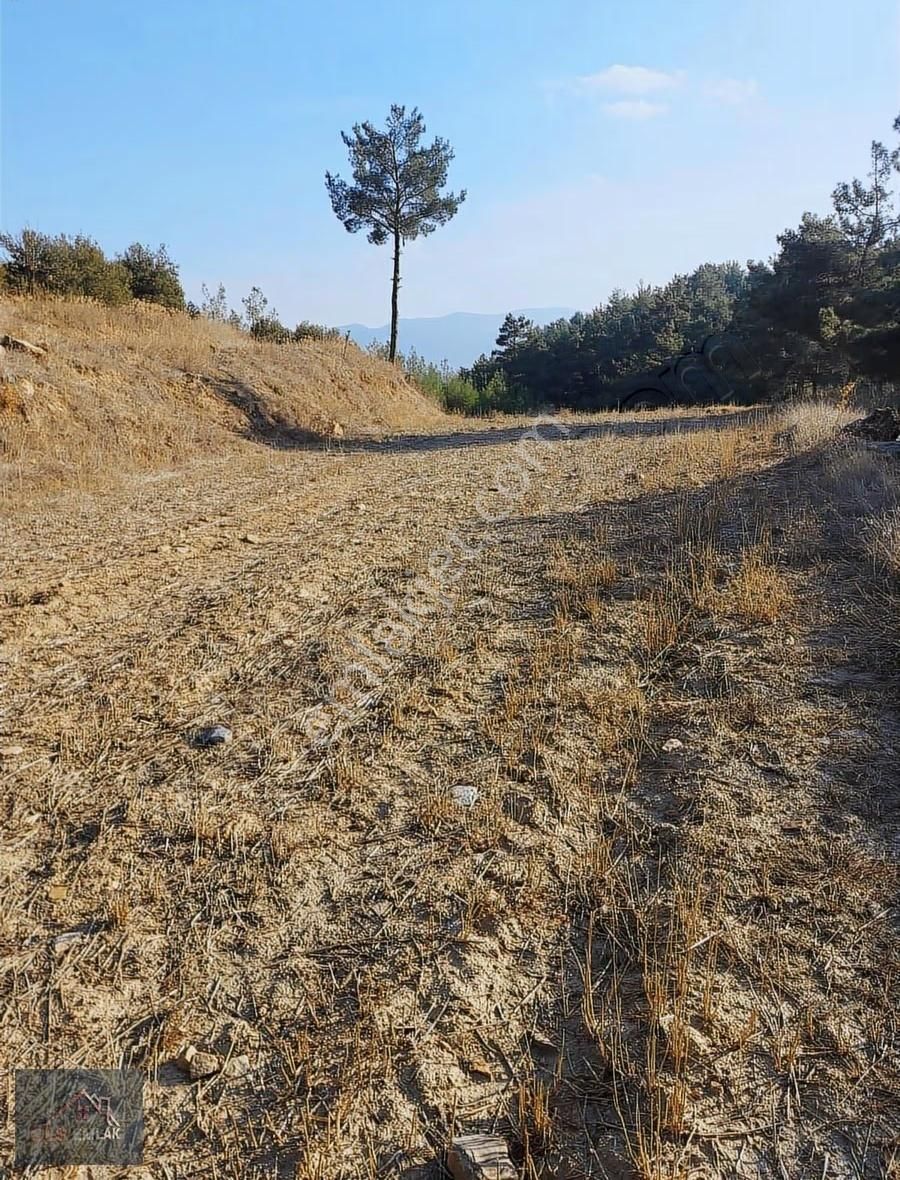 Muğla Kavaklıdere 31000m2 Dönüm Satılık Tarla! - Görsel 4