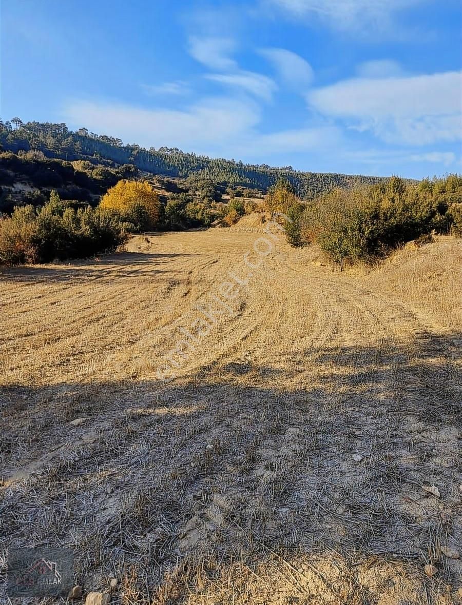 Muğla Kavaklıdere 31000m2 Dönüm Satılık Tarla! - Görsel 20