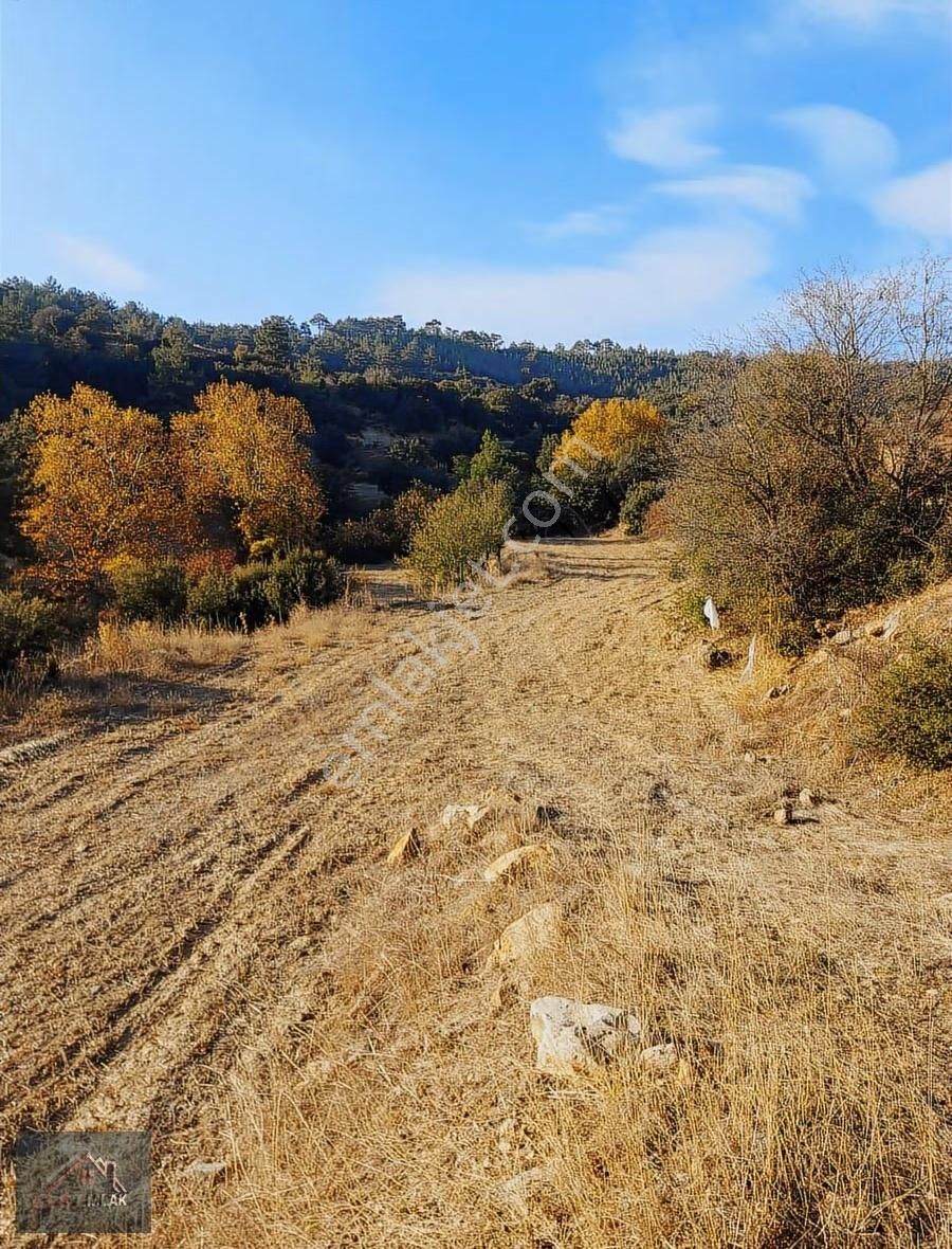 Muğla Kavaklıdere 31000m2 Dönüm Satılık Tarla! - Görsel 16