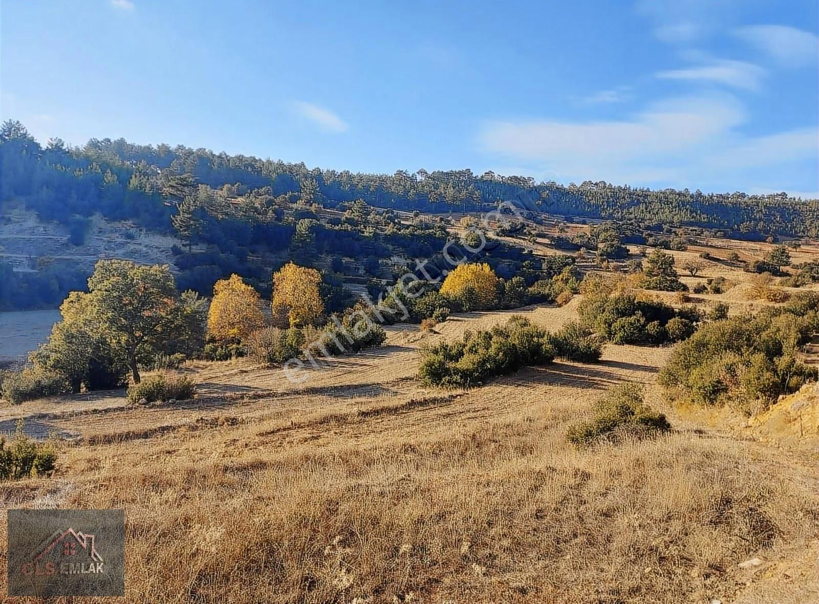 Muğla Kavaklıdere 31000m2 Dönüm Satılık Tarla! - Görsel 6