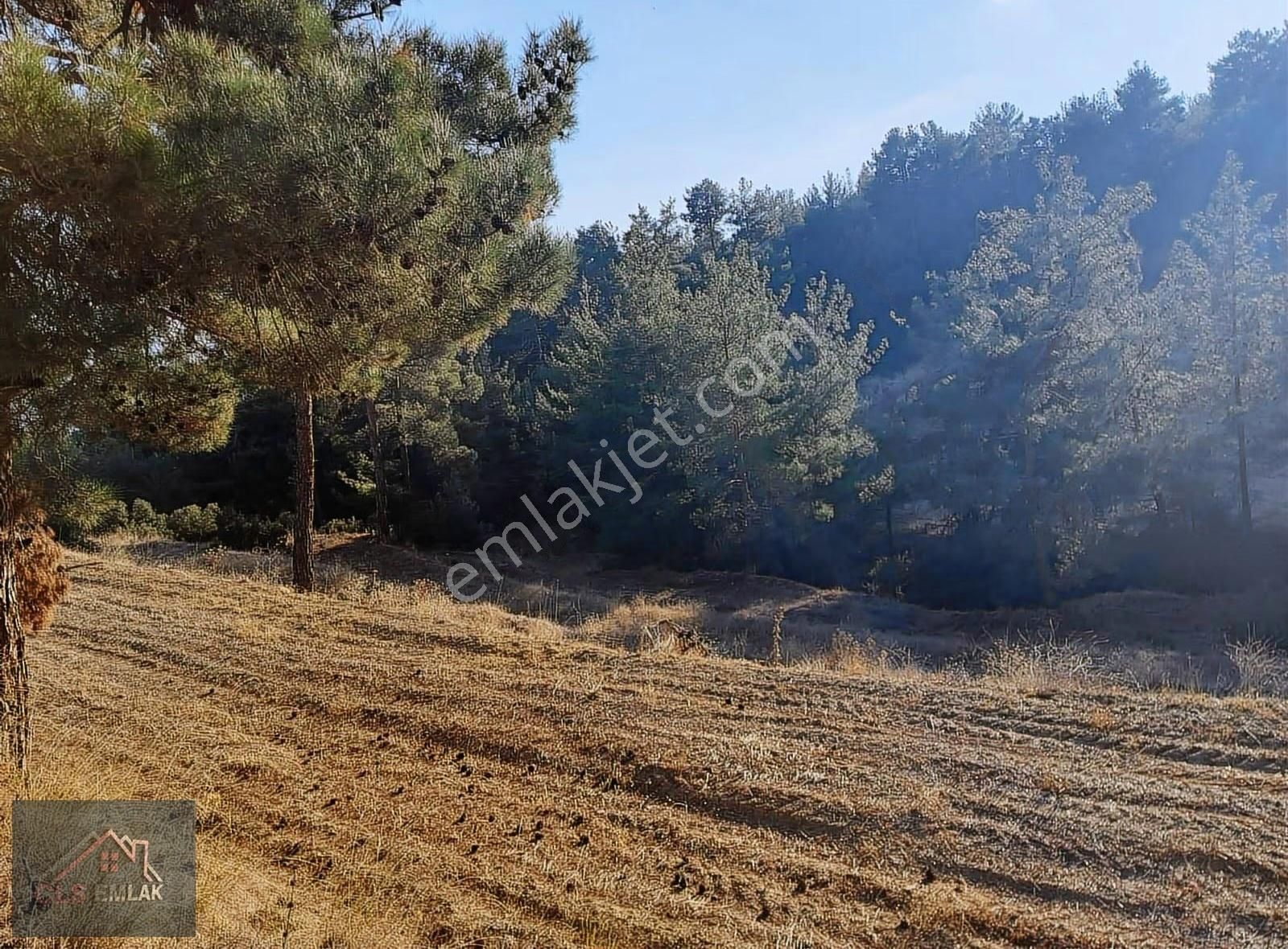 Muğla Kavaklıdere 31000m2 Dönüm Satılık Tarla! - Görsel 10