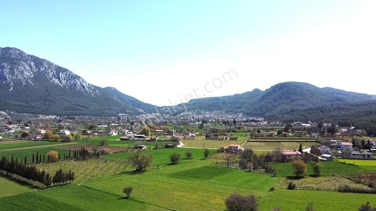 Goldhouse Dan Satılık Yeşil Üzümlü De 10 Dönüm Tarla - Görsel 5