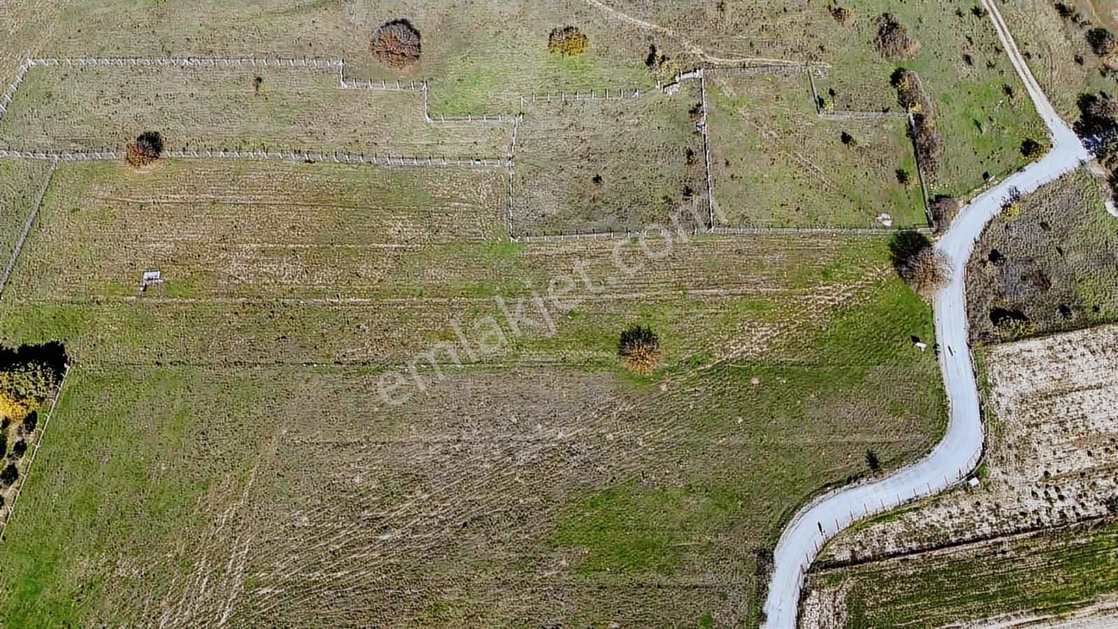 Urla Barbaros'ta Yola Cepheli Tarla - Görsel 5