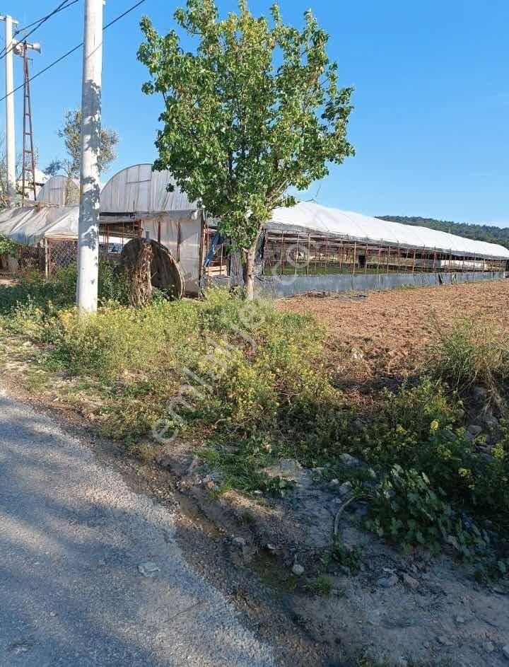 Urla Camiatik Mahallesi Satılık Tarla - Görsel 7