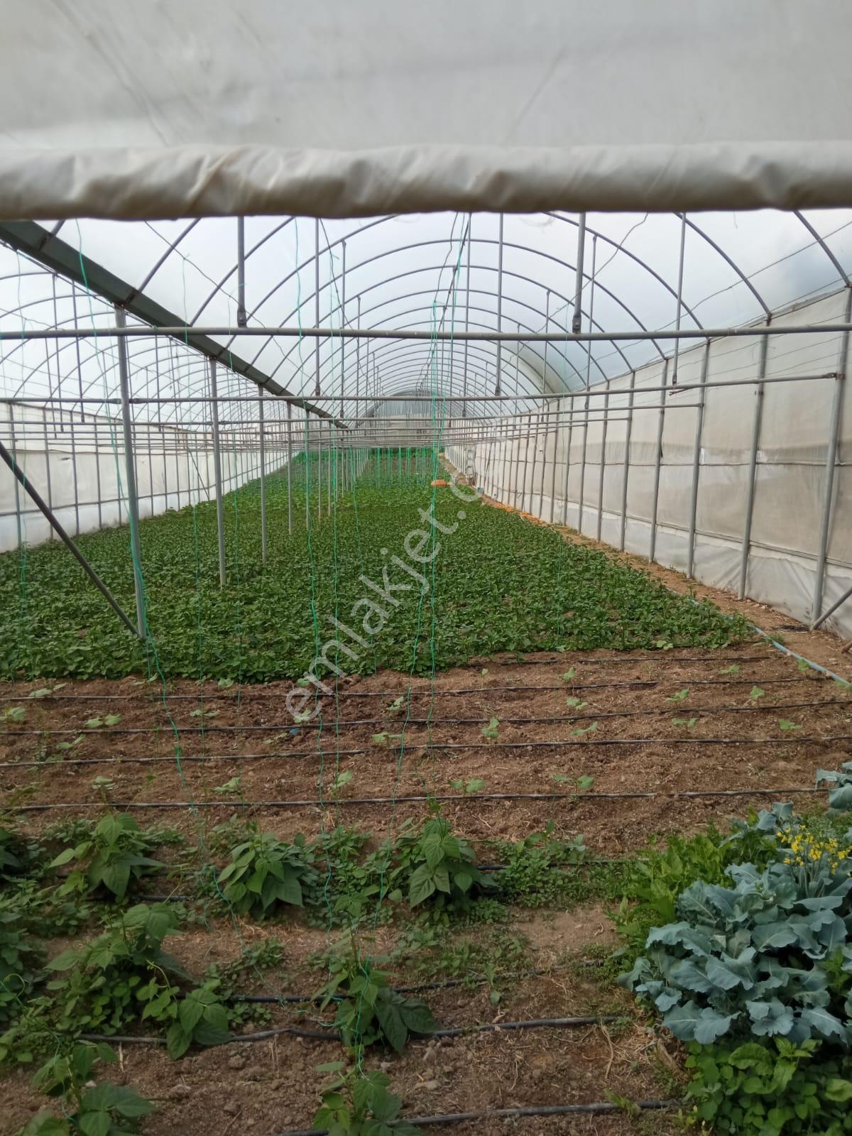 Arkadaş Emlaktan Melih Gazi Bağlar Civarında Satılık Arsa 6.500.000 Tl - Görsel 5