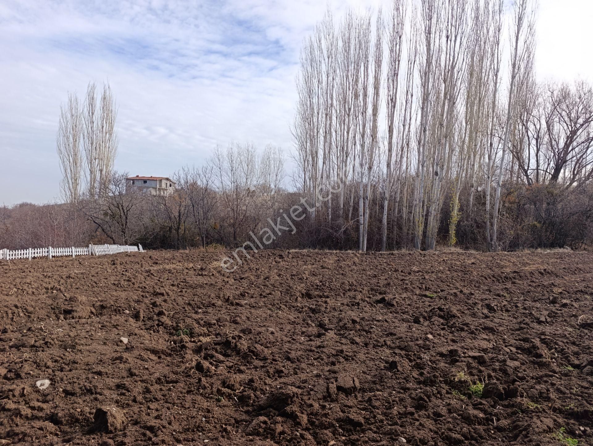 Karadiğin De Doğanın İçinde Müstakil Bahçe Evi - Görsel 3