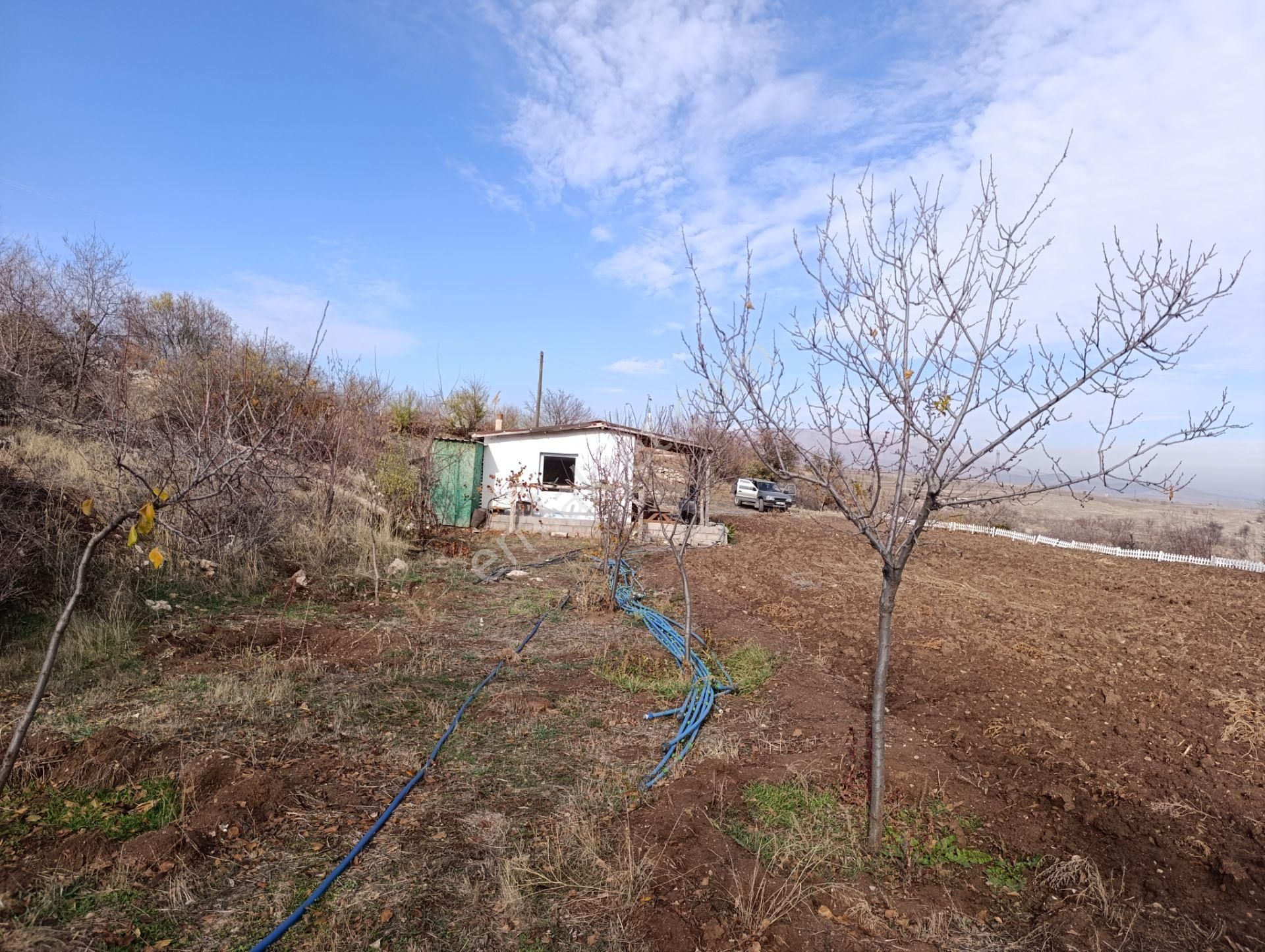 Karadiğin De Doğanın İçinde Müstakil Bahçe Evi - Görsel 15