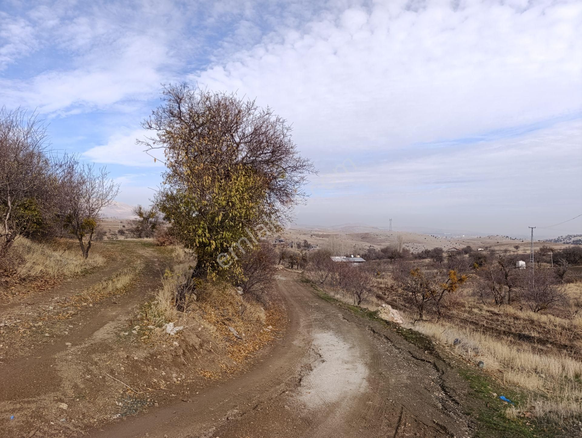 Karadiğin De Doğanın İçinde Müstakil Bahçe Evi - Görsel 34