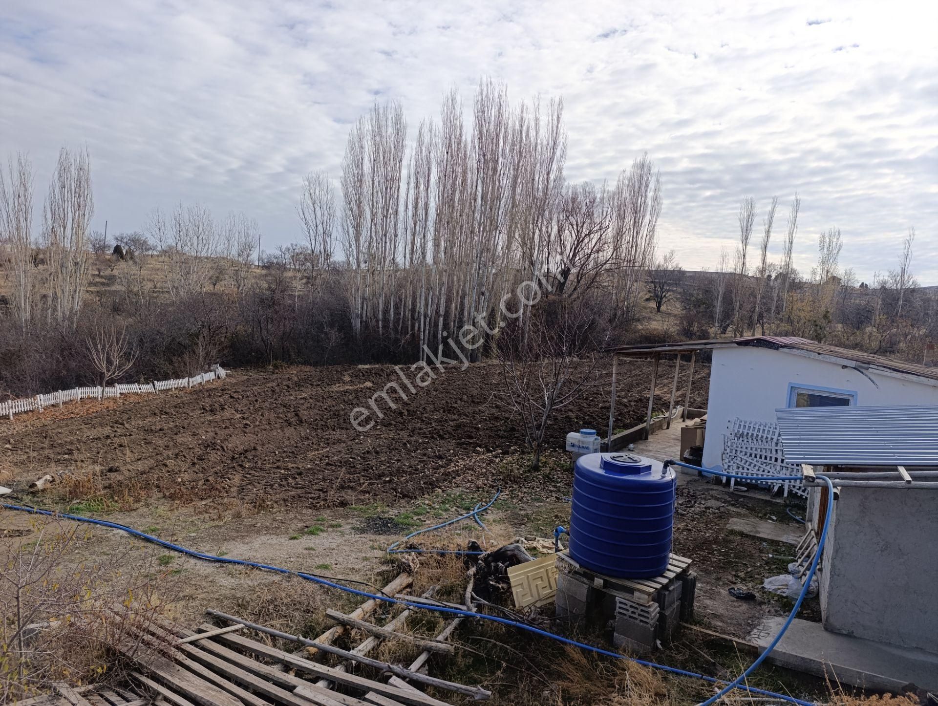 Karadiğin De Doğanın İçinde Müstakil Bahçe Evi - Görsel 29