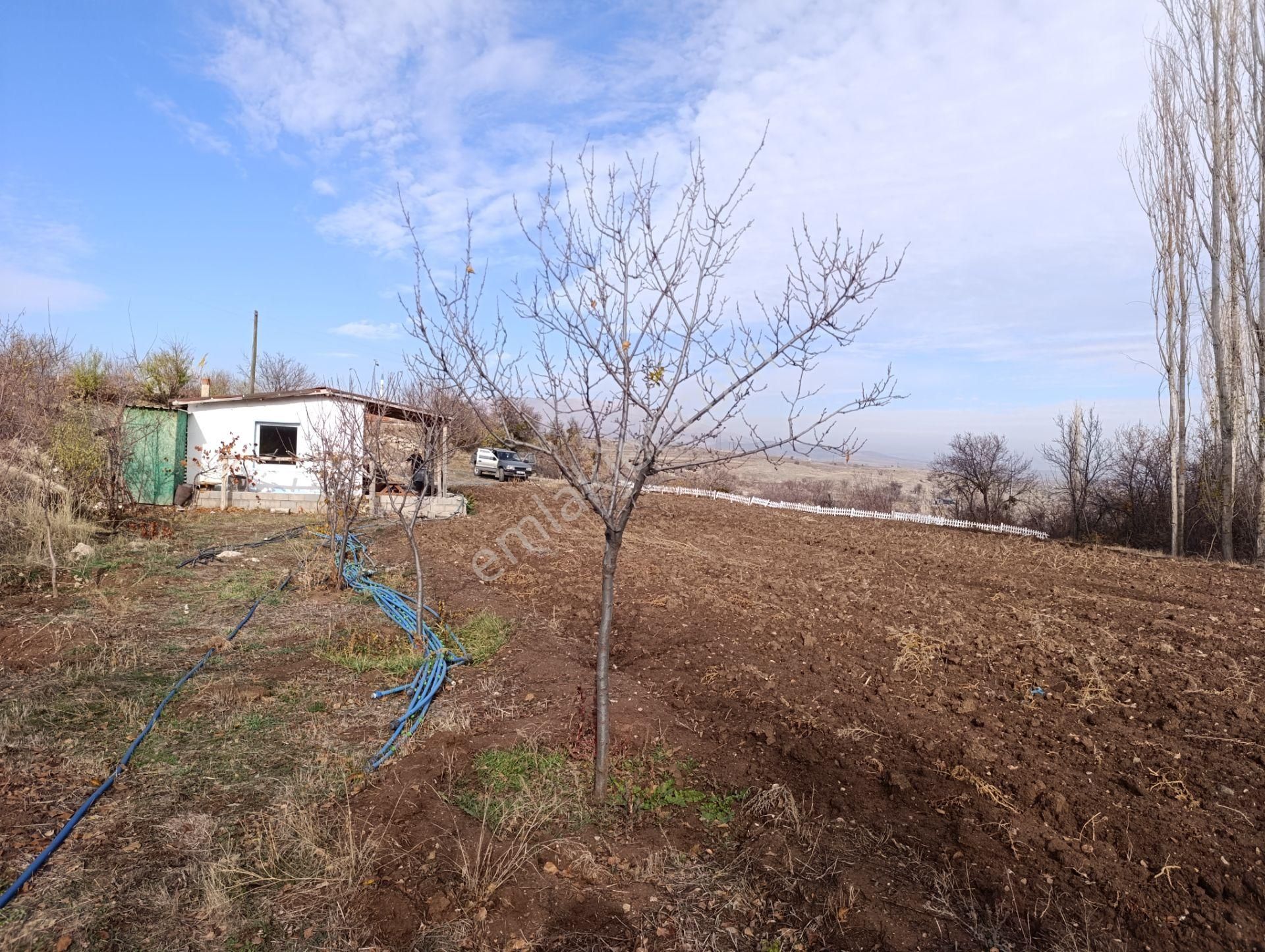 Karadiğin De Doğanın İçinde Müstakil Bahçe Evi - Görsel 16