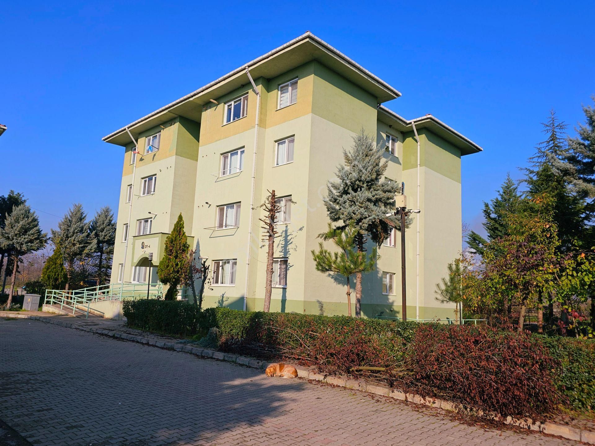 Hak Emlaktan Çavuşlar Tokilerinde Büyük Fırsat Satılık 2+1 Daire - Görsel 14