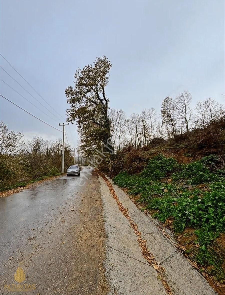 Altuntaş'tan Körfez Himmetli Köyünde Satılık 2282 M² Tarla - Görsel 3