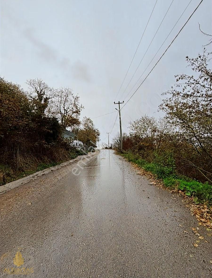 Altuntaş'tan Körfez Himmetli Köyünde Satılık 2282 M² Tarla - Görsel 5