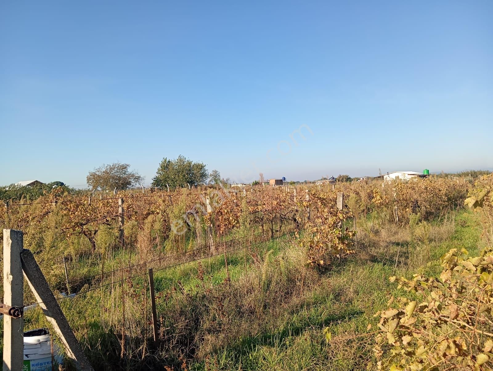 İzmir Menemen Satılık Bağ Bahçe Tarla 2240 M2 Suyu Var - Görsel 6