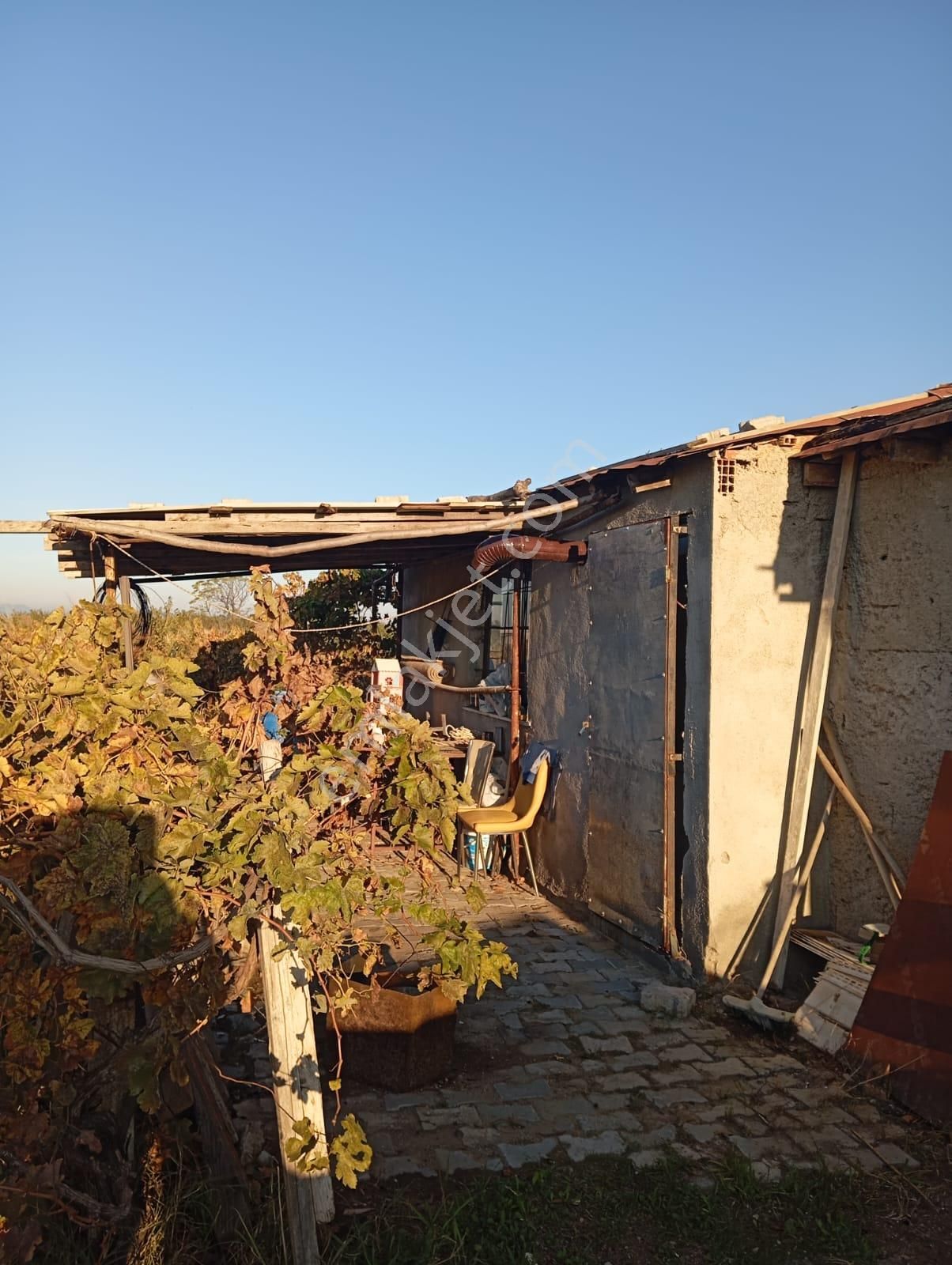 İzmir Menemen Satılık Bağ Bahçe Tarla 2240 M2 Suyu Var - Görsel 7