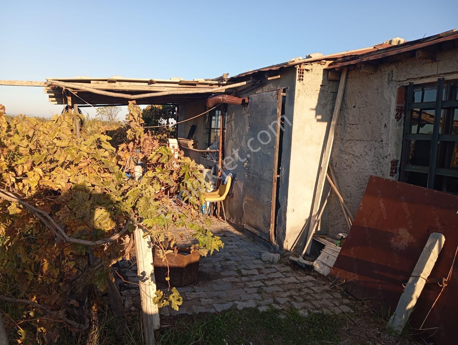 İzmir Menemen Satılık Bağ Bahçe Tarla 2240 M2 Suyu Var - Görsel 5