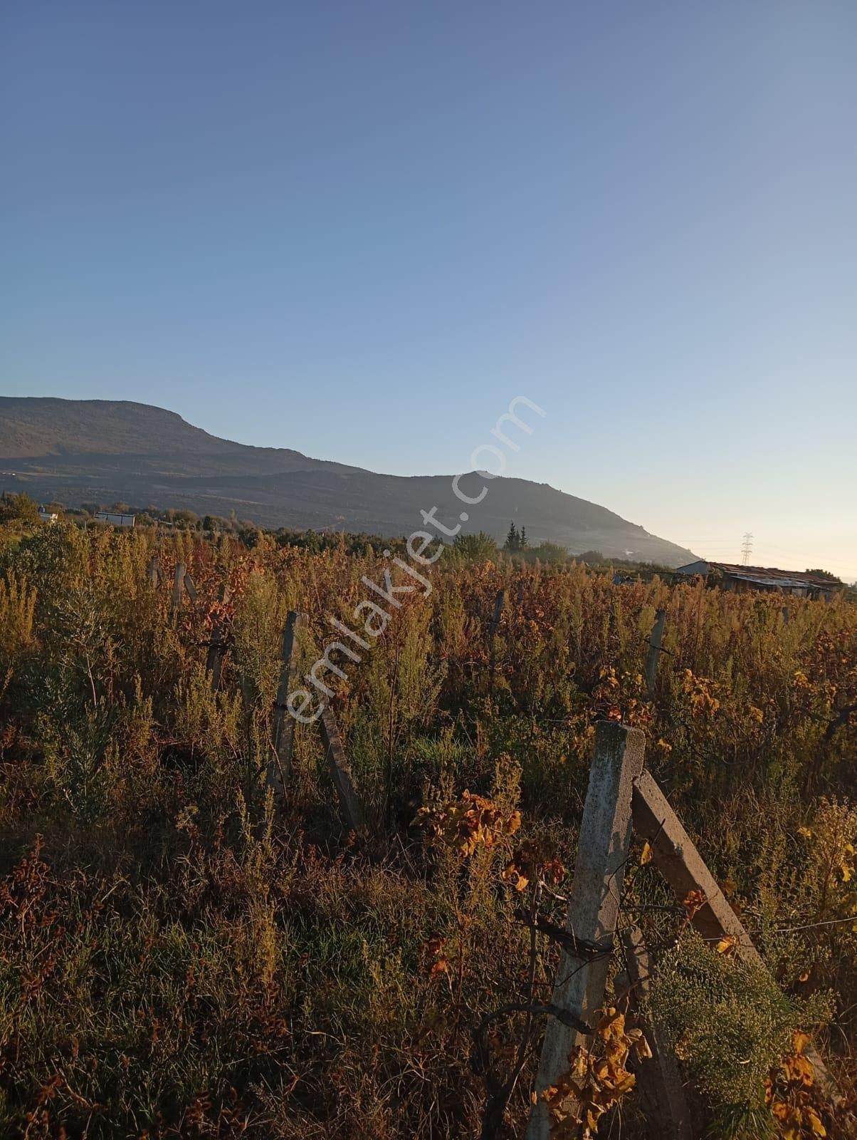 İzmir Menemen Satılık Bağ Bahçe Tarla 2240 M2 Suyu Var - Görsel 21