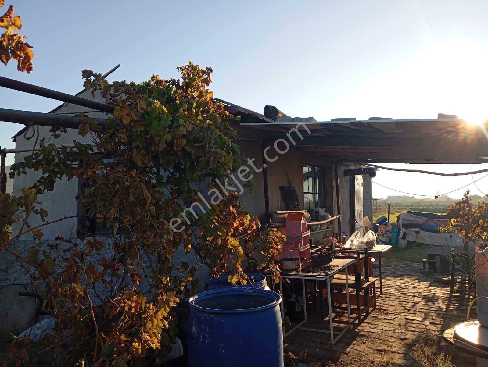 İzmir Menemen Satılık Bağ Bahçe Tarla 2240 M2 Suyu Var - Görsel 11