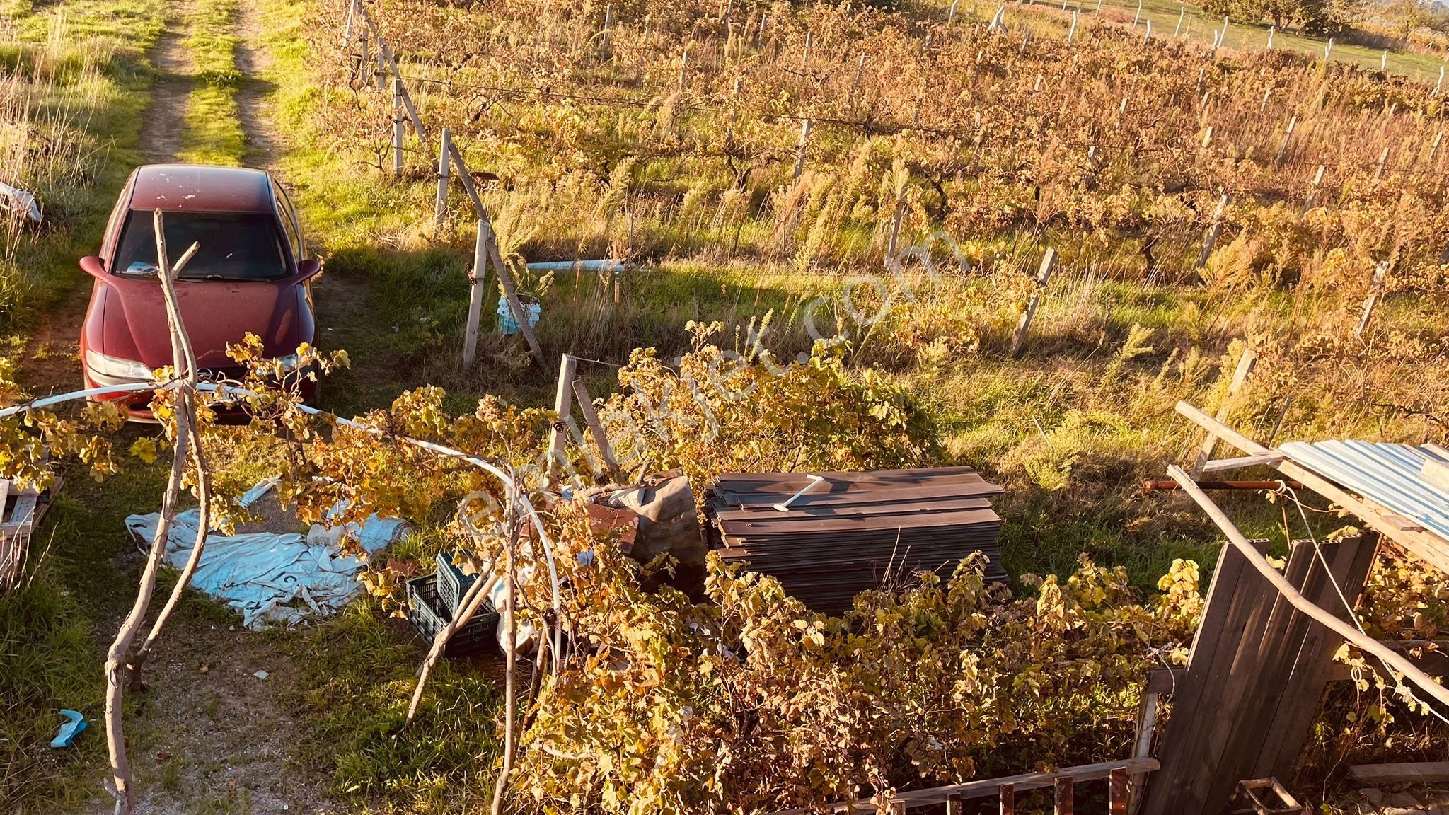 İzmir Menemen Satılık Bağ Bahçe Tarla 2240 M2 Suyu Var