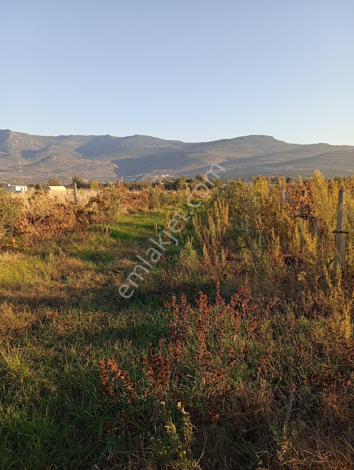 İzmir Menemen Satılık Bağ Bahçe Tarla 2240 M2 Suyu Var - Görsel 19