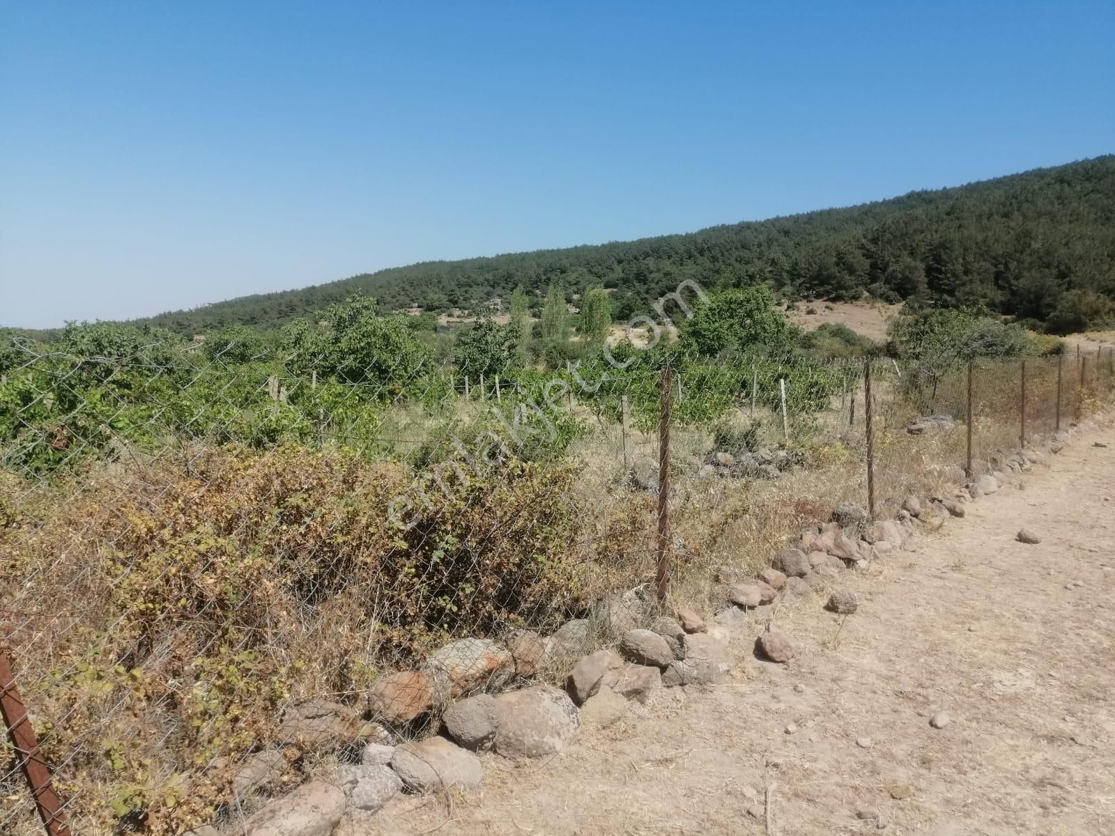 İzmir Menemen Alaniçi Bağ Bahçe Su Var - Görsel 2