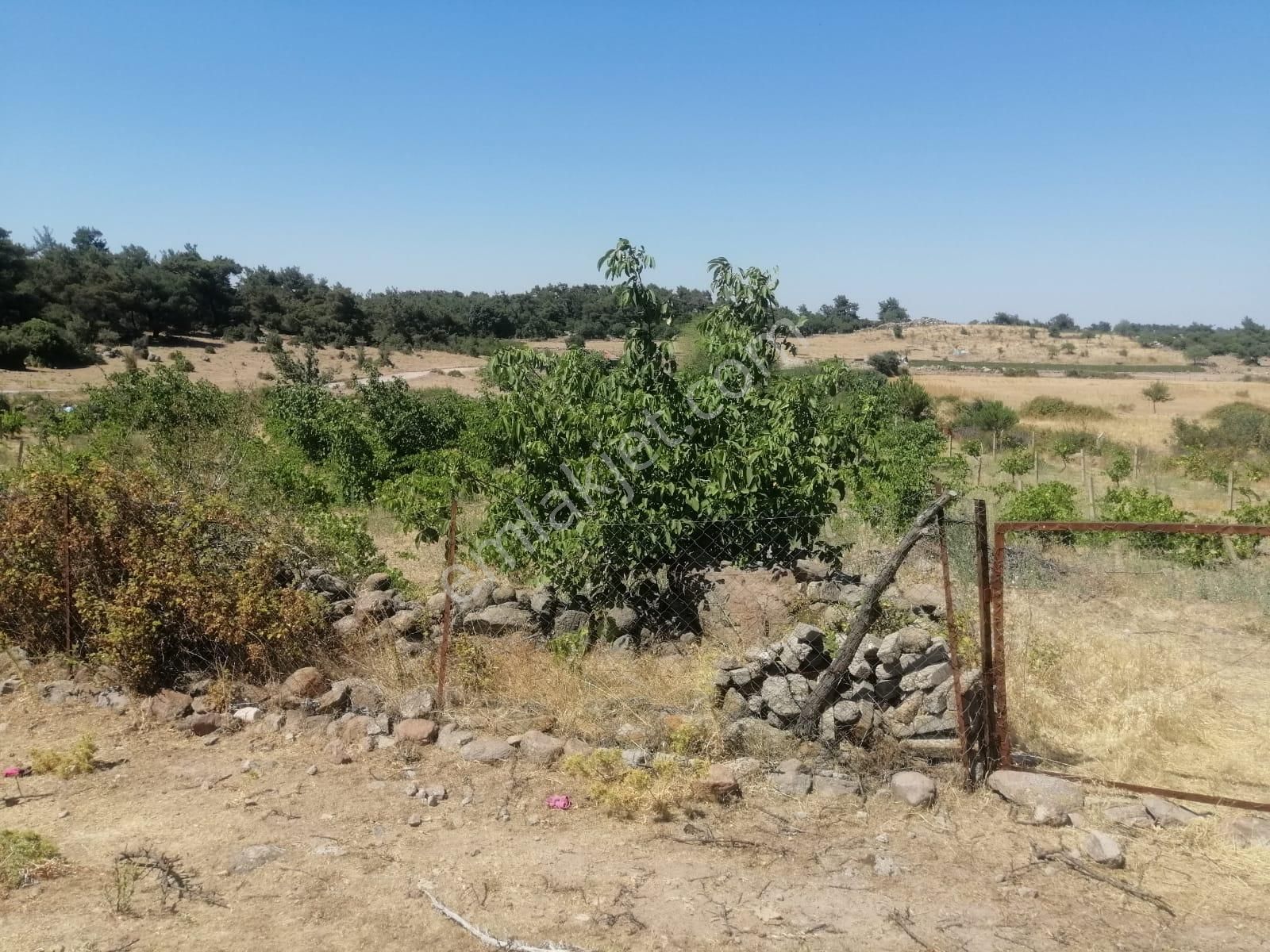 İzmir Menemen Alaniçi Bağ Bahçe Su Var - Görsel 6