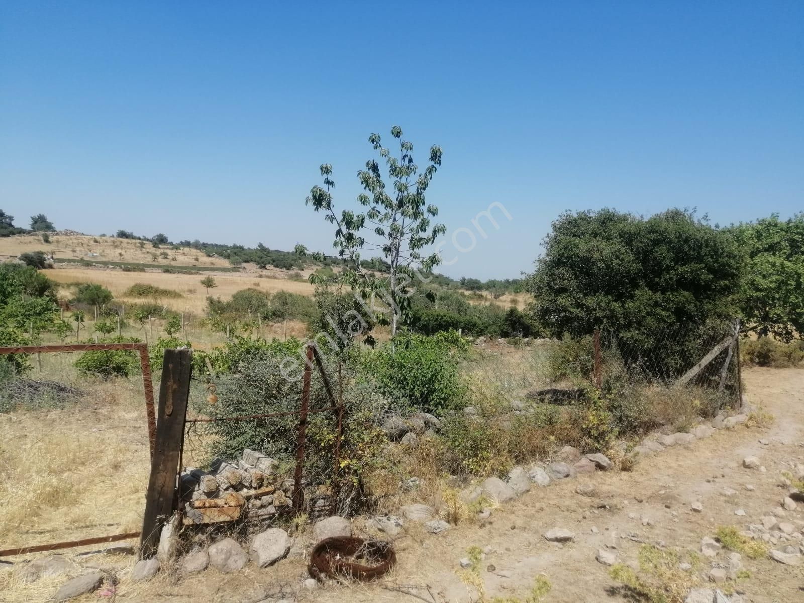 İzmir Menemen Alaniçi Bağ Bahçe Su Var - Görsel 3