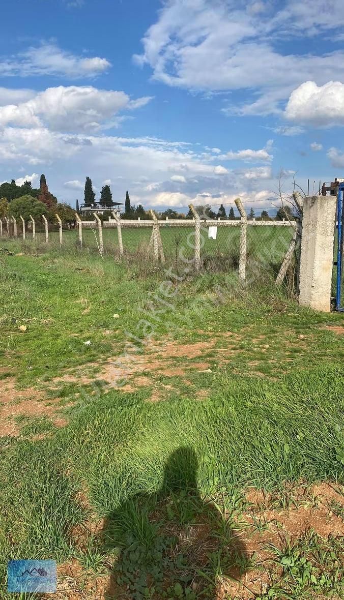 Güleçgayrimenkul Den 16 Dönüm Tarla Satılık