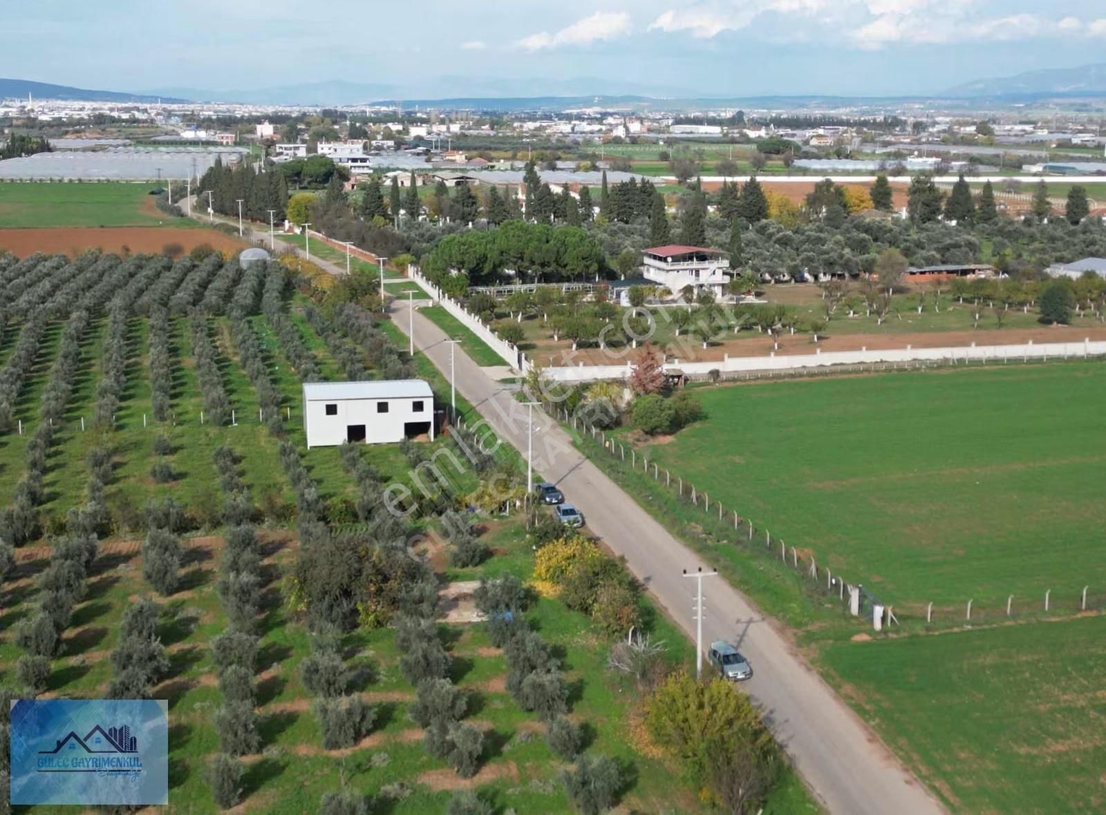 Güleçgayrimenkul Den 16 Dönüm Tarla Satılık - Görsel 6