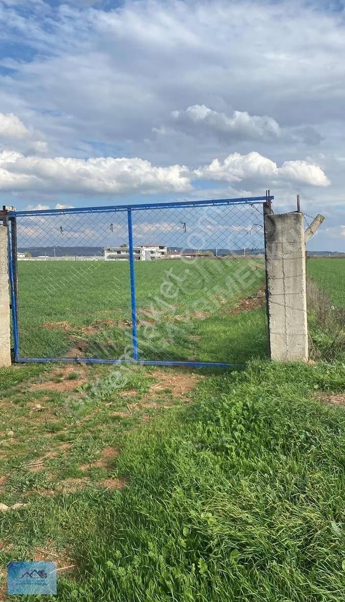 Güleçgayrimenkul Den 16 Dönüm Tarla Satılık - Görsel 7