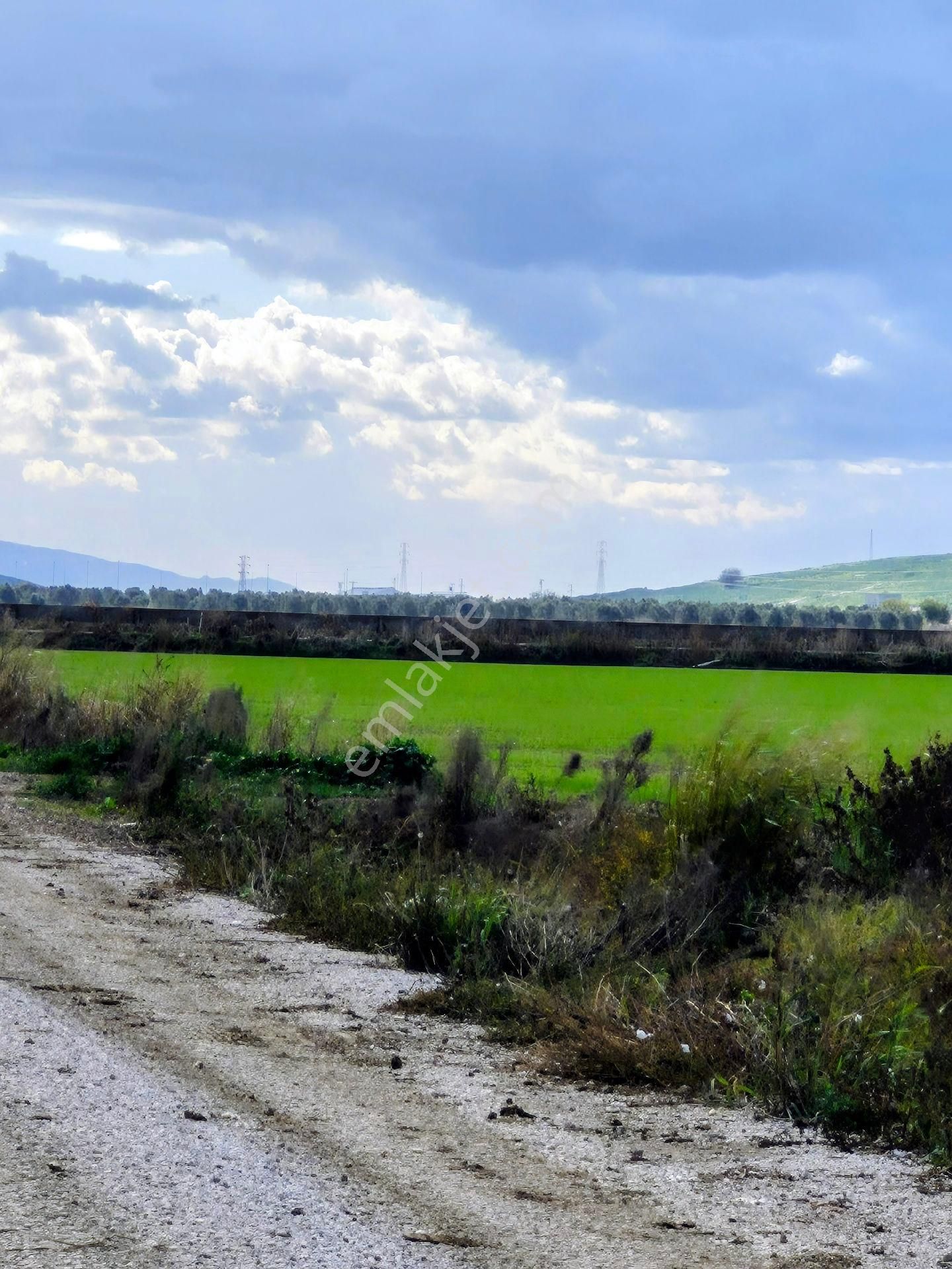 13 Dönüm Menemen Musa - Görsel 4